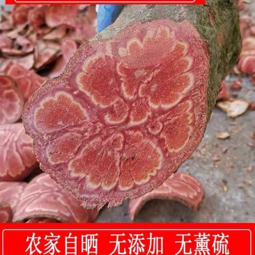 广西大山土特产牛嘿藤