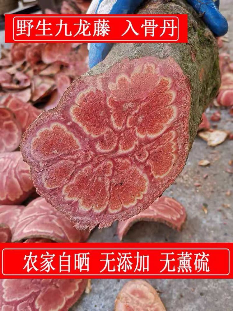 广西大山土特产牛嘿藤