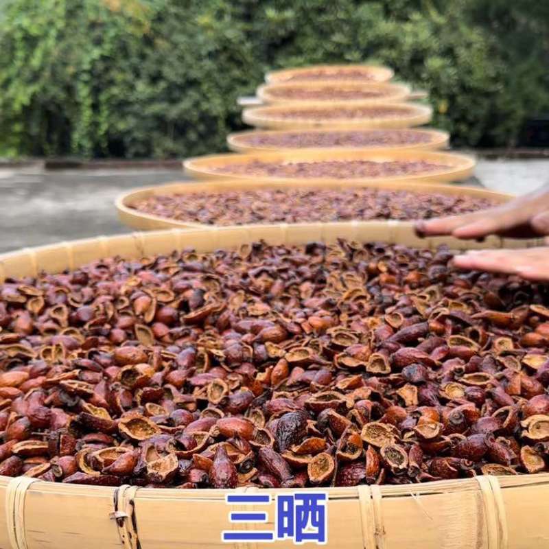 广西金樱子深山糖罐子整果开边三蒸三晒！