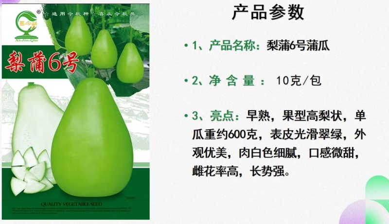 梨蒲6号梨型蒲瓜早熟丰产瓜皮翠绿色光滑肉质细嫩微甜