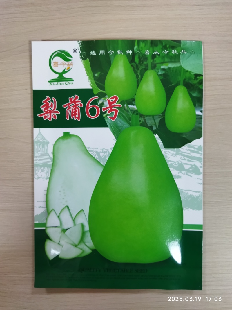 梨蒲6号梨型蒲瓜早熟丰产瓜皮翠绿色光滑肉质细嫩微甜