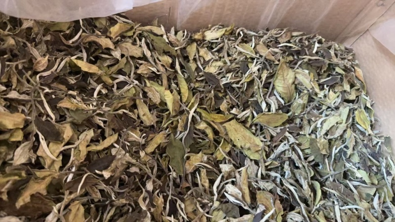 云南大叶种白茶，12斤一箱，产地直发。