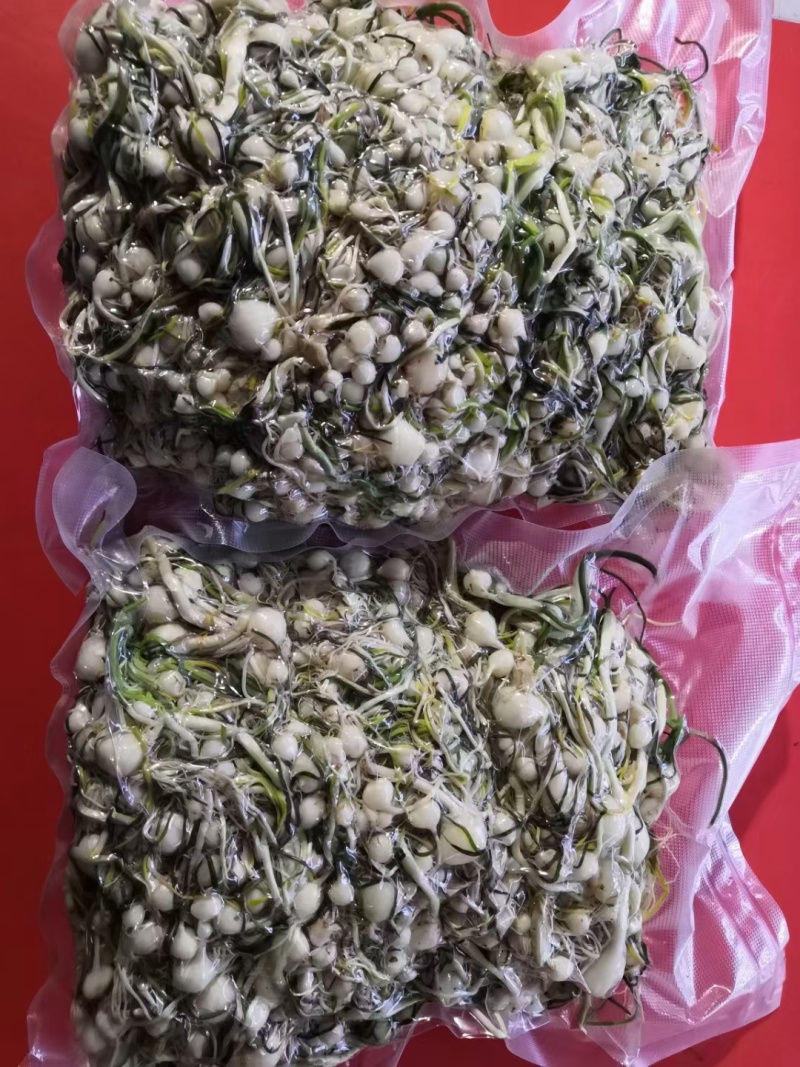 小根蒜