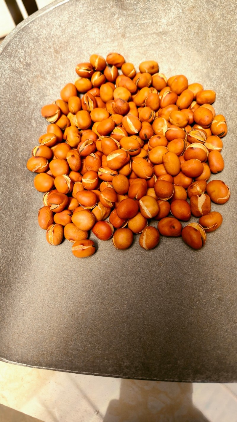 炒蚕豆