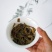 23年大雪山平价口粮茶，28饼一件/一件起批。
