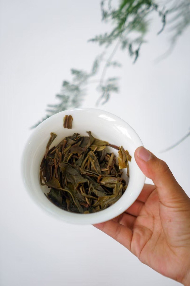 23年大雪山平价口粮茶，28饼一件/一件起批。