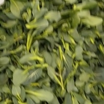 江苏青菜苔