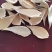 东北野生药材（罗摩）