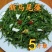 嘎嘣脆的马尾藻，嫩、脆、鲜美，五斤一箱，包邮到家