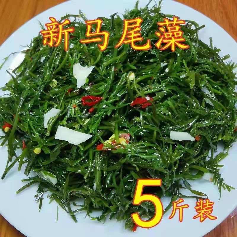 嘎嘣脆的马尾藻，嫩、脆、鲜美，五斤一箱，包邮到家