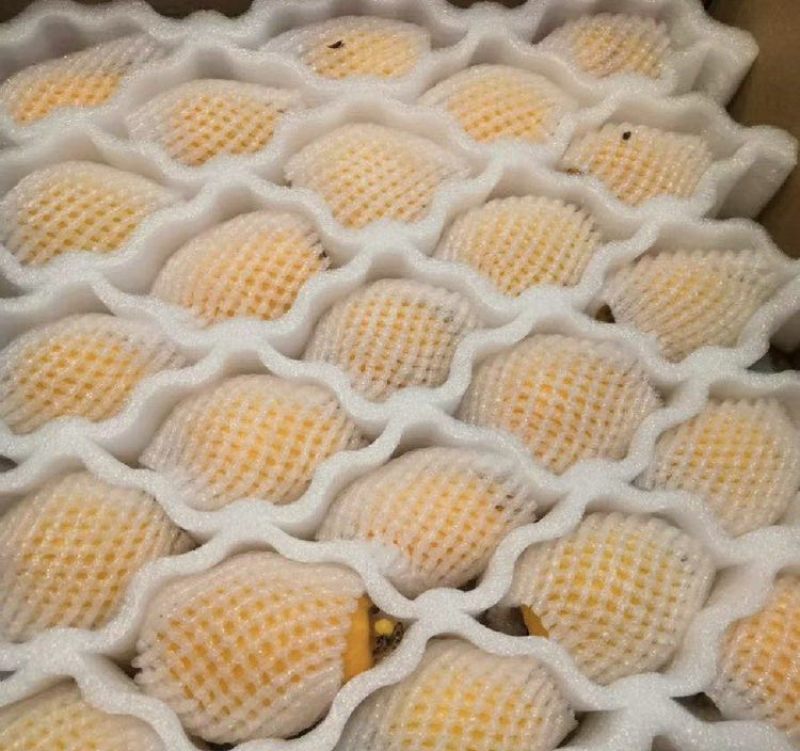 枇杷当季水果