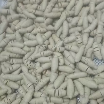 面筋烤面筋
