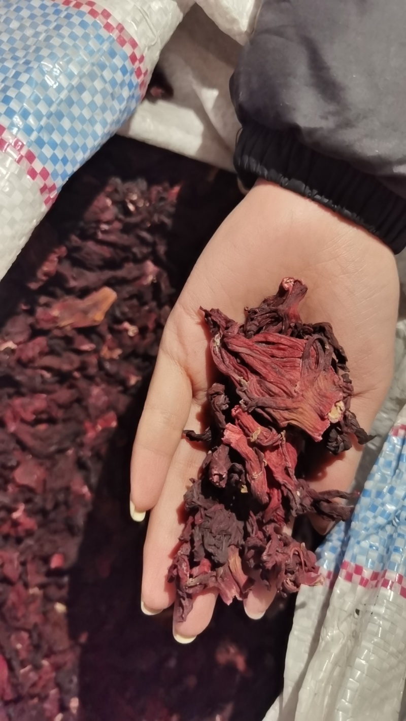 玫瑰茄