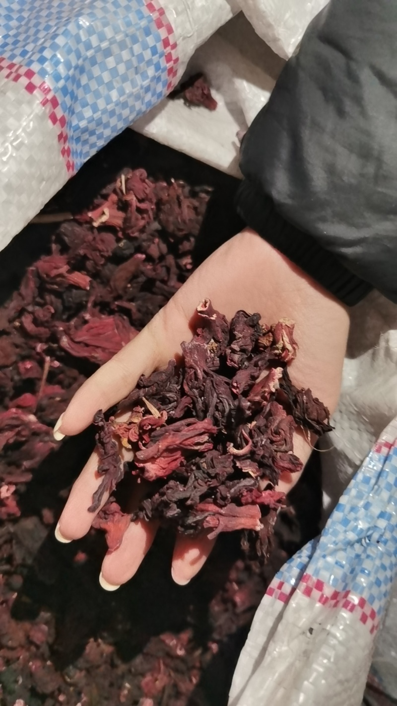 玫瑰茄