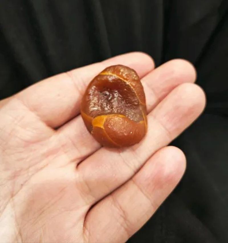 鸡宝