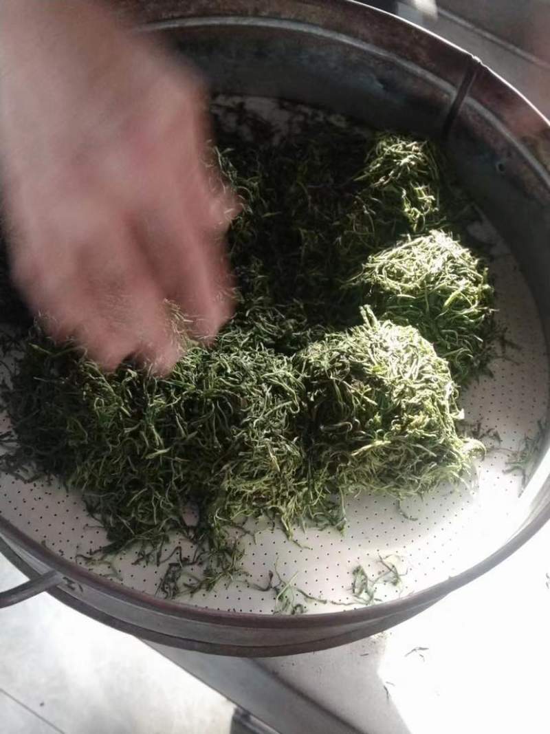 崂山绿茶，明前茶🍵
