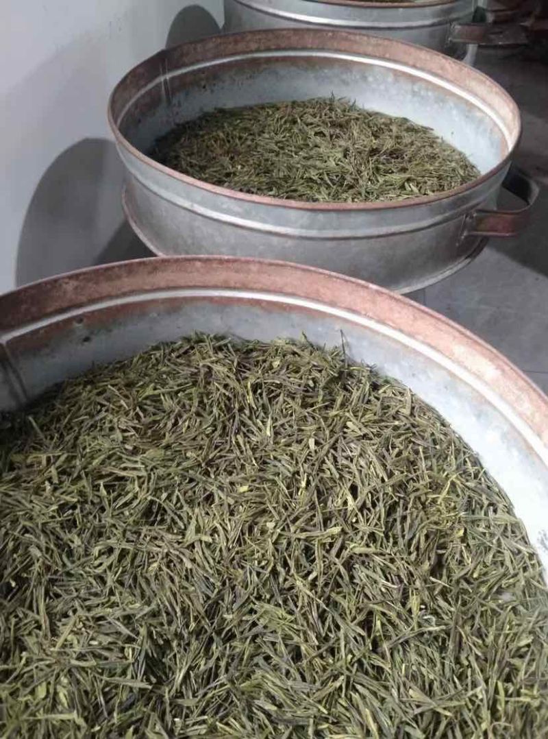 崂山绿茶，明前茶🍵