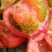 红果草莓番茄