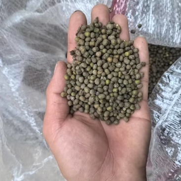 绿豆打粉磨面专用有意联系