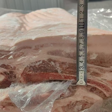 带皮带肋中方