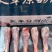 羊腿
