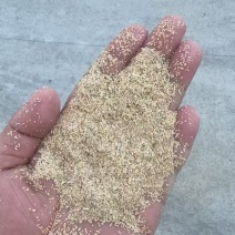 筛糠