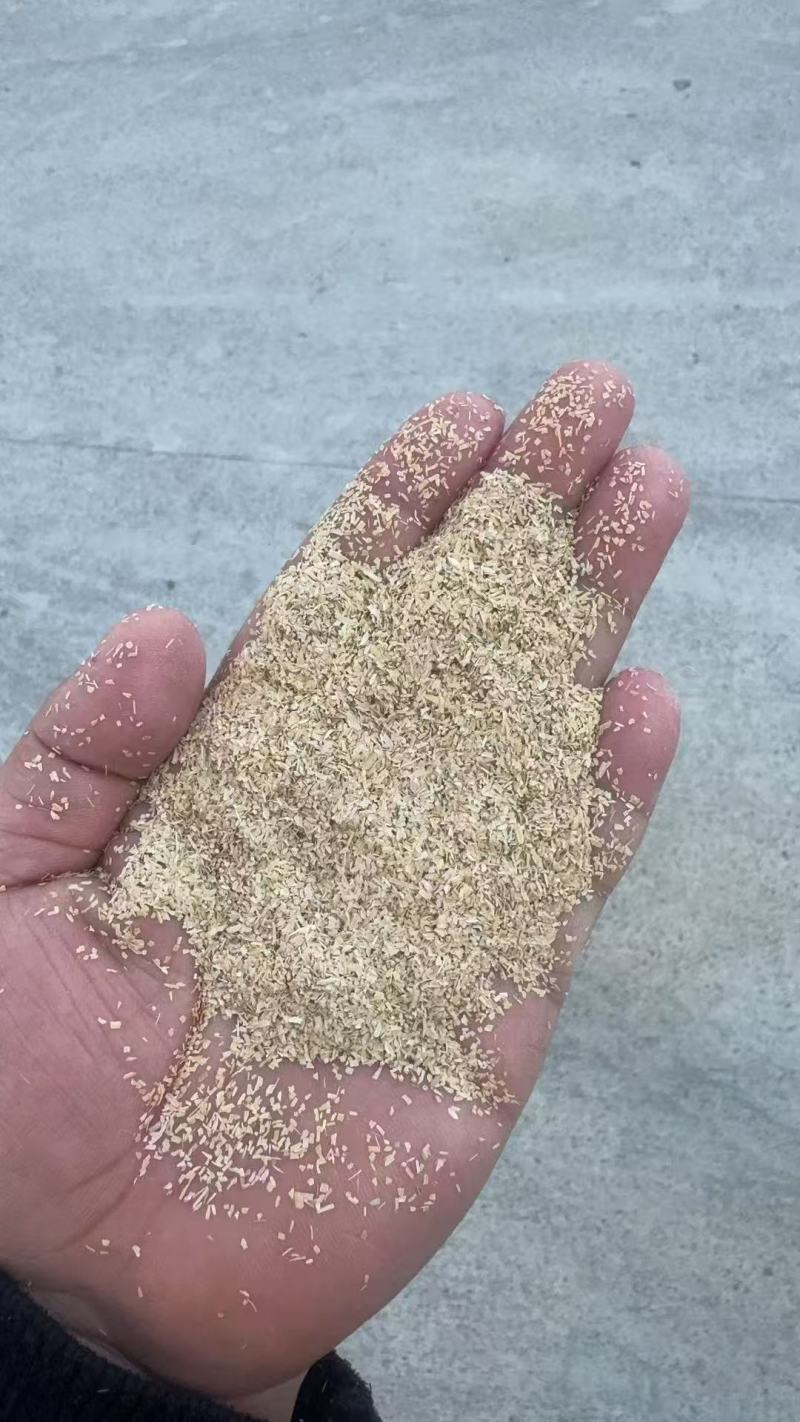 筛糠