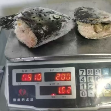 三文鱼头