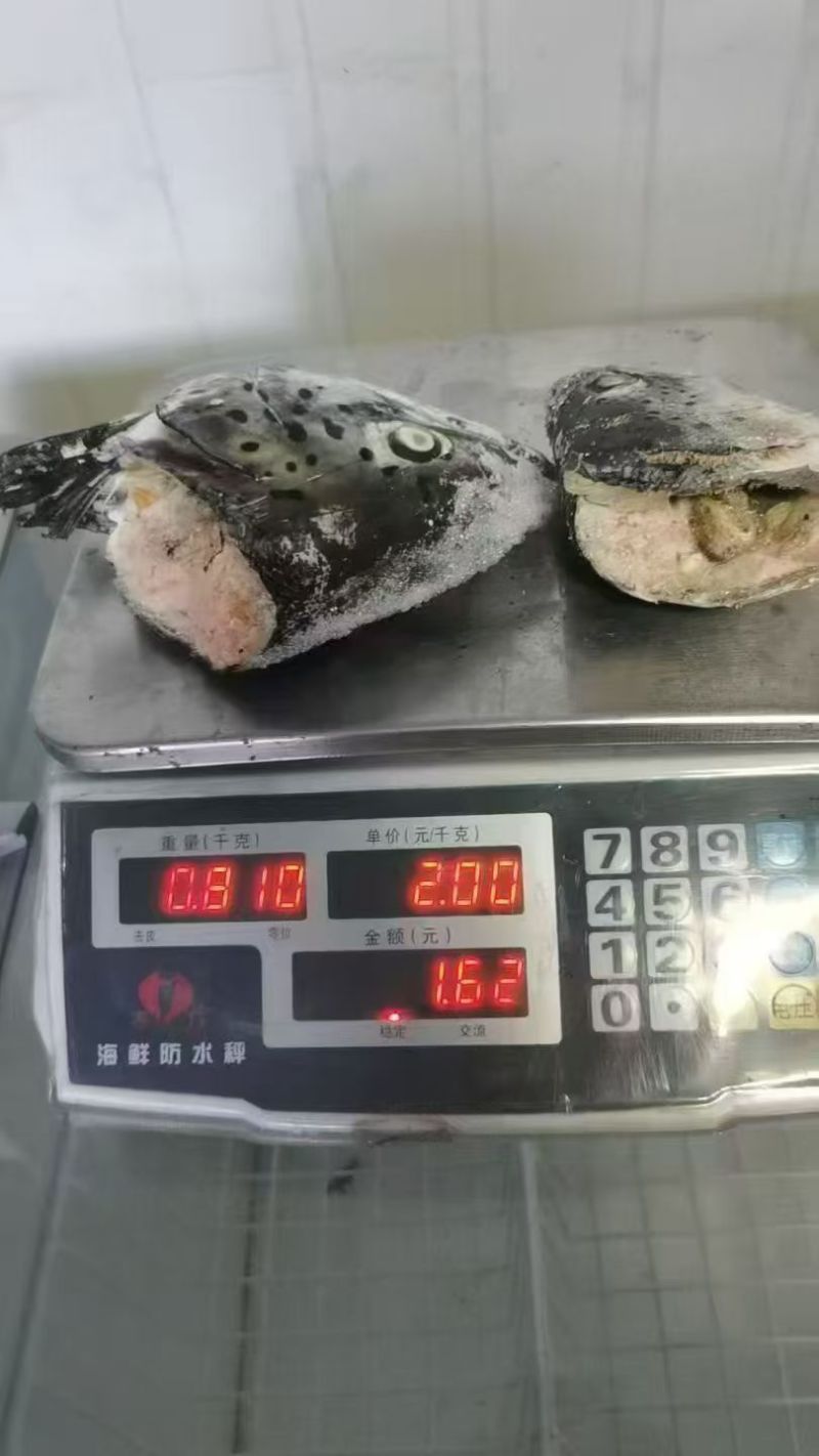 三文鱼头