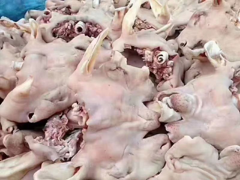羊脸肉纯干货，干净无毛，直接下锅