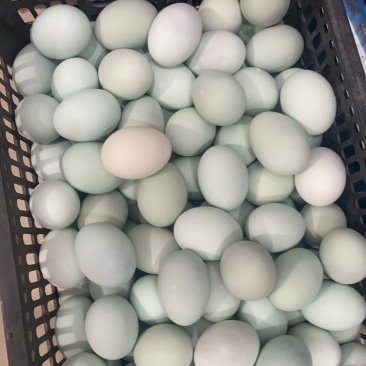 品质咸鸭蛋十年工厂自产自销