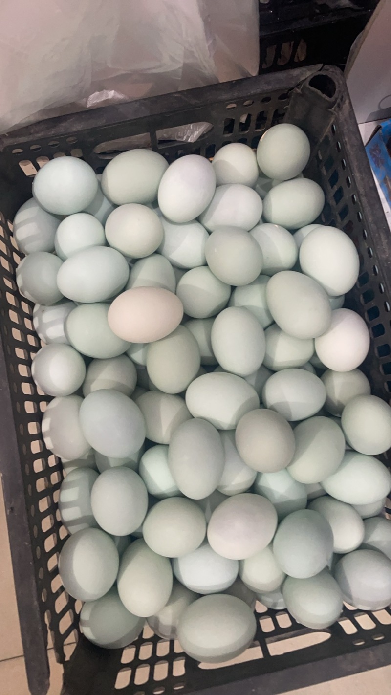品质咸鸭蛋十年工厂自产自销