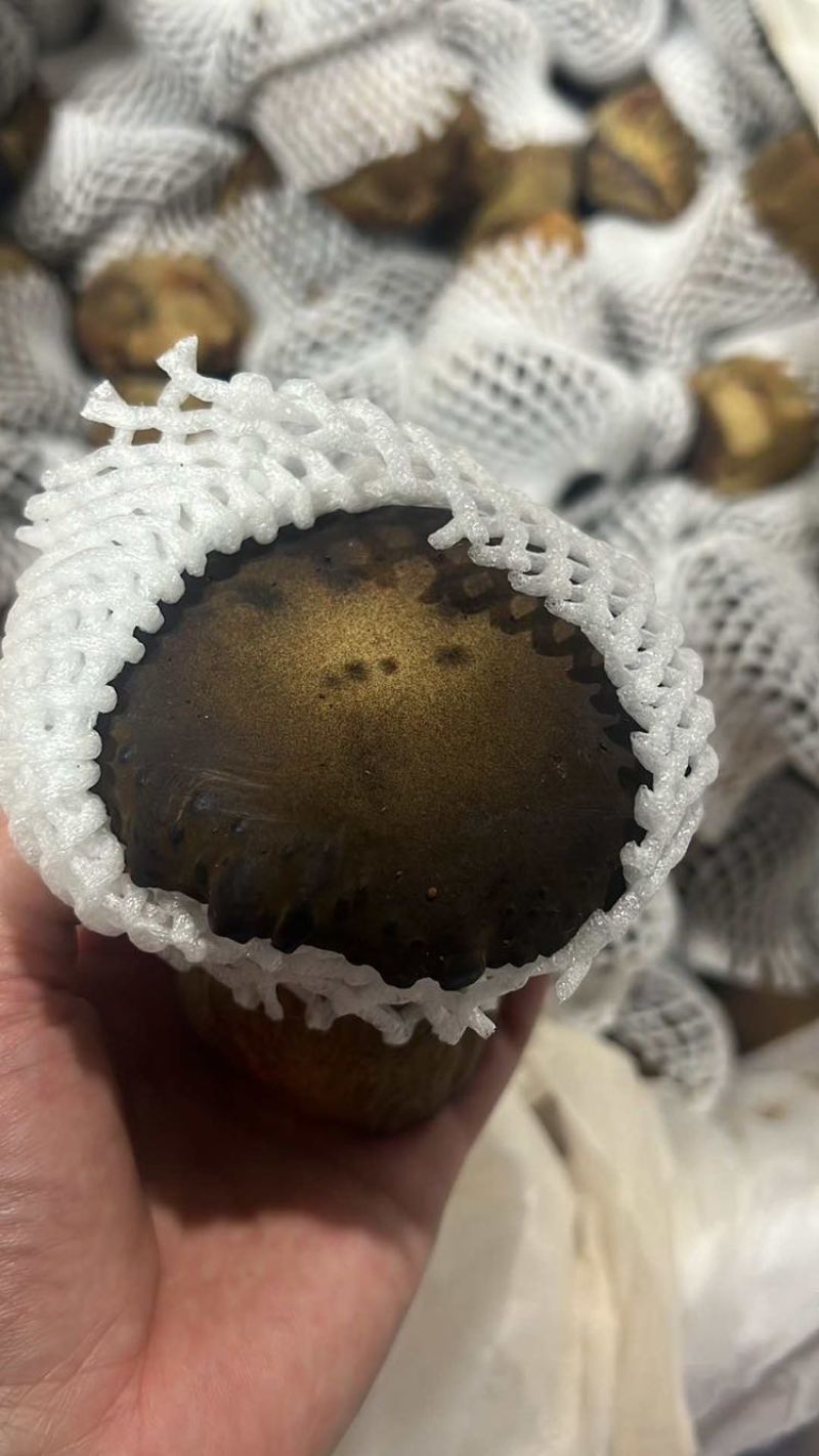 黑牛肝