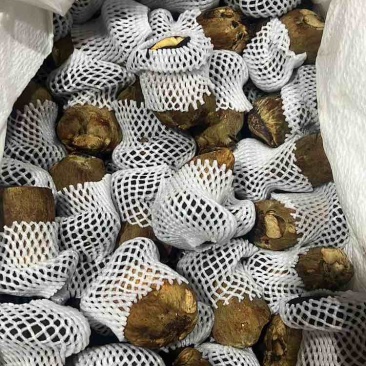 黑牛肝