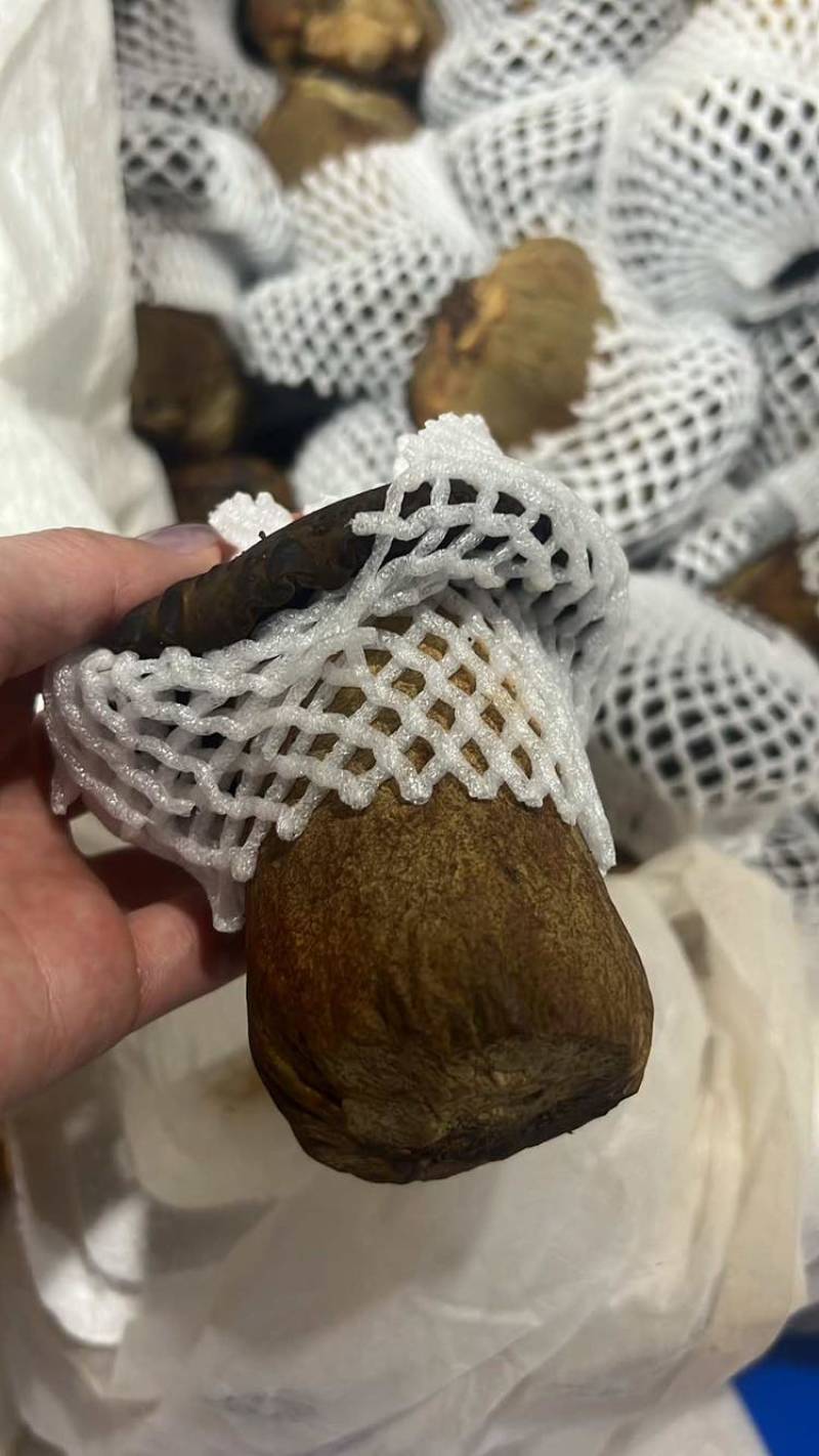 黑牛肝