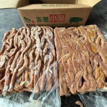 熟小肠