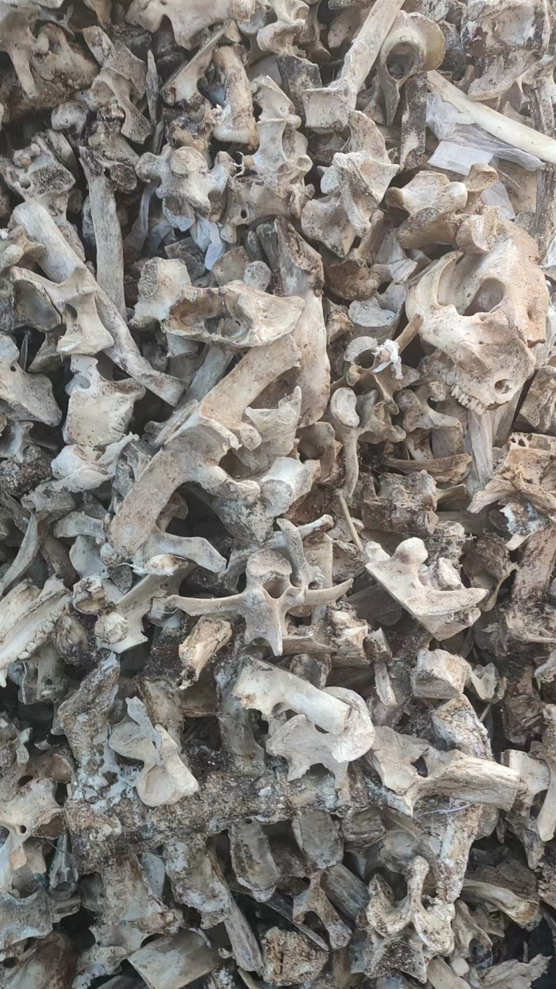 猪骨头干货需要的联系