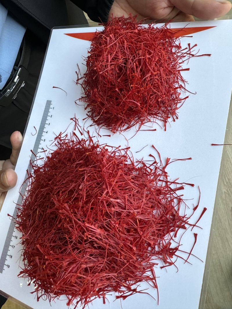 特级藏红花现货供应