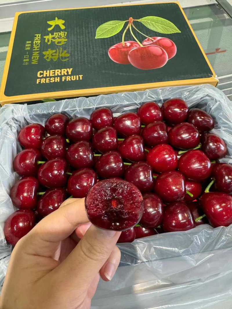 大连，大樱桃，品种规格齐全，大量现货，保质保量
