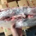 肥猪颈骨，每天生产，新货新开检疫，价格优惠