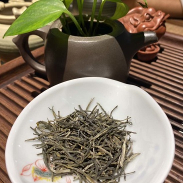 头春头采香茗