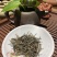 头春头采香茗