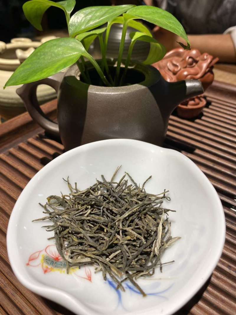 头春头采香茗