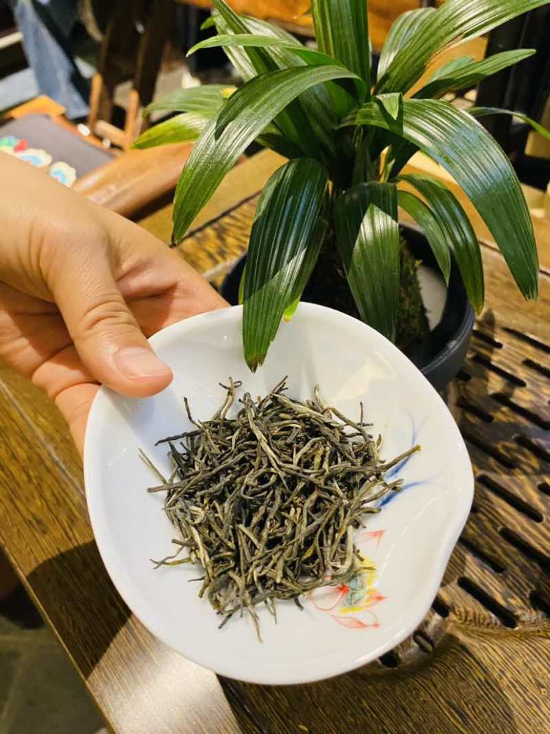 头春头采香茗