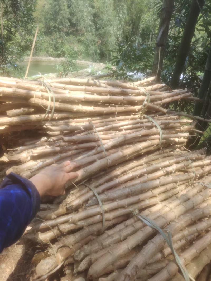 软糯香甜的木薯梗！