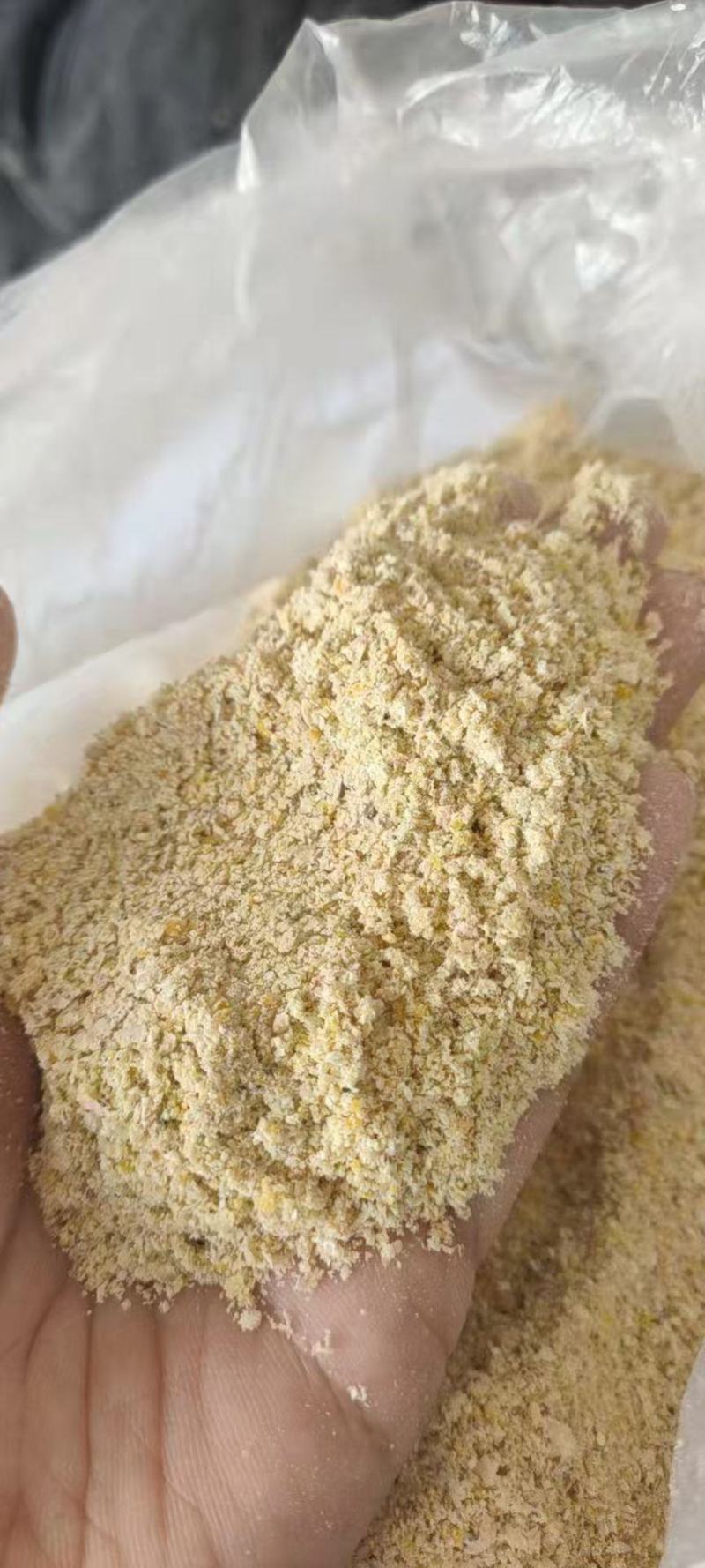玉米次粉，脂肪高达8%蛋白高于玉米，灰分低，