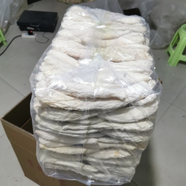 贵州织金竹荪