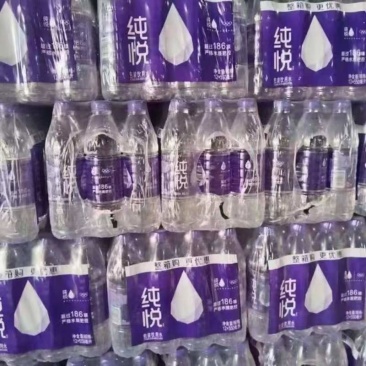 纯悦水550×12瓶，1月，1000件