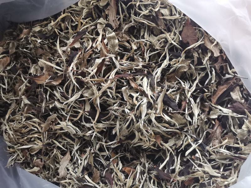 普洱大叶白茶月光白