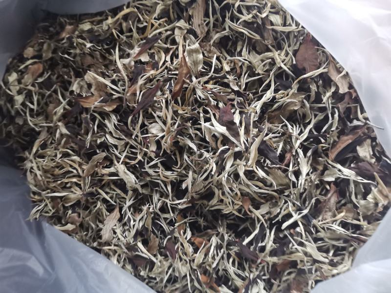 普洱大叶白茶月光白